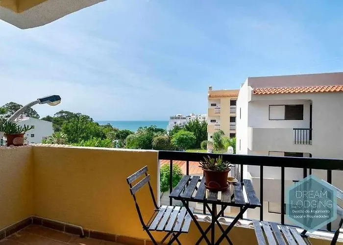 303 - Dream * البوفيرا