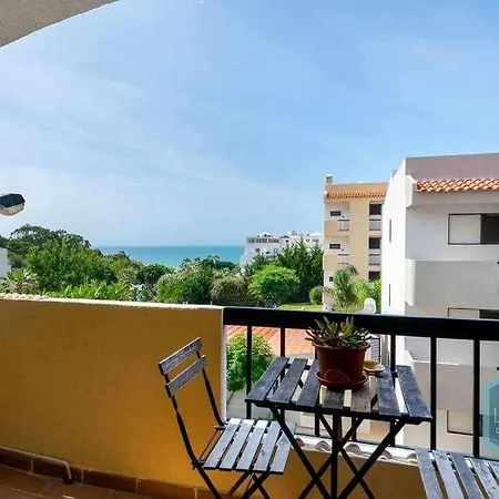 303 Dream * אלבופיירה